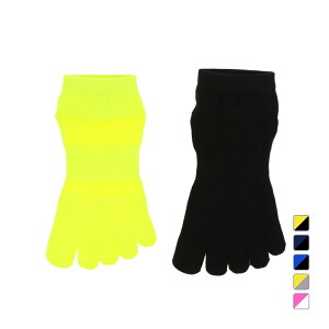 11/25聚Iōő100PobN eBS Y fBX /jO 2g 5{w\bNX(J[) TR-3R0024SK jO\bNX TIGORA