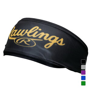 11/10聚Iōő100PobN [OX 싅  S[XgX[N2 wbhoh Rawlings