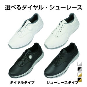 ő10OFFN[| y10/30z eBS ϋvObv StV[Y Y St XpCNXV[Y 4E TIGORA imbkk