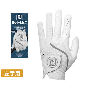 11/5聚Iōő100PobN tbgWC StO[u TCtbNX FGSF25 (6665890862) Y FOOT JOY FJ