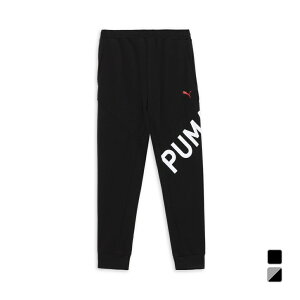 最大10%OFFクーポン 【10/24〜10/27】 プーマ メンズ TAD ニットパンツ 527047 スポーツウェア PUMA