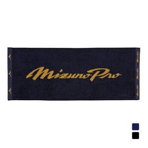 ~Ym 싅 ^I y~YmvztFCX^I 34cm×85cm 12JYCX6814 MIZUNO