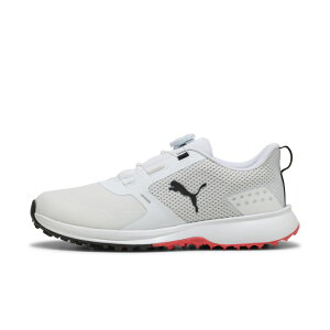 11/1聚Iōő100PobN v[} StV[Y t[WObv6 fBXN (311216) Y St _CXpCNXV[Y 2E PUMA imbkk