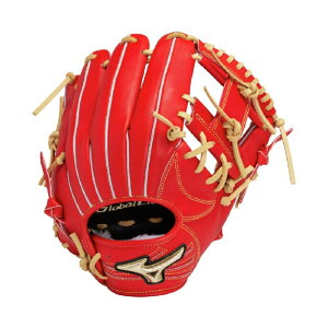 ~Ym pO[oG[gProfessional Selection ^ TCY10 1AJGR32223 p 싅 pO[u MIZUNO