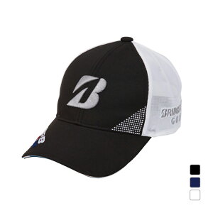 ő10OFFN[| y10/4`10/10z uaXg StEFA Lbv t  25SS BSG CPS25A vfLbv (CPS25A) Y BRIDGESTONE