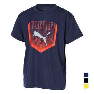 11/10聚Iōő100PobN v[} WjA LbY q  @\ TVc ACTIVE SPORTS | OtBbN TVc 686981 X|[cEFA PUMA