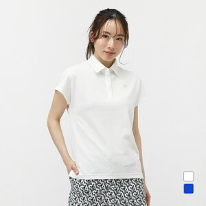 11/25聚Iōő100PobN ZgAh[X fB[X StEFA Vc t  f^iqWK[hVc (0435160552) St ANDREWS