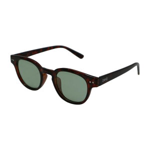 �_�� SELECT BrownTortoiseGlossy x OpalGreenPola �T���O���X : BrownTortoiseGlossy x OpalGreenPolarized DANG