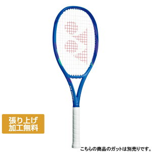 lbNX Ki EZONE 100 TOUR E][100cA[ 08EZ10TR dejX 胉Pbg : u[ YONEX