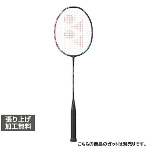���l�b�N�X ASTROX 100 TOUR �A�X�g���N�X100�c�A�[ AX100T �o�h�~���g�� �����胉�P�b�g : ���b�h YONEX