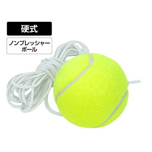 eBS dejXg[i[pXyA{[ KpSt{[ ֗p dejX KpSt{[ TIGORA