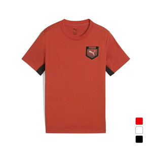 11/10聚Iōő100PobN v[} WjA LbY q  @\ TVc ACTIVE SPORTS OtBbN TVc B 687788 X|[cEFA PUMA