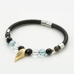 t@Ce RAKUWA uXbg ECOXS[h NANZT[ uXbg phiten