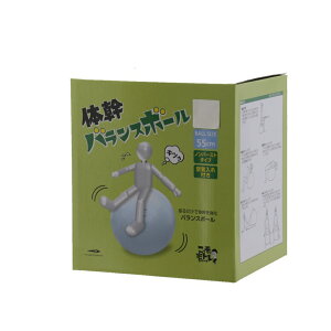 11/18聚Iōő100PobN eBS W{[ tBbglX{[ oX{[ mo[Xg 55cm TR B{[55SX oXg[jO TIGORA