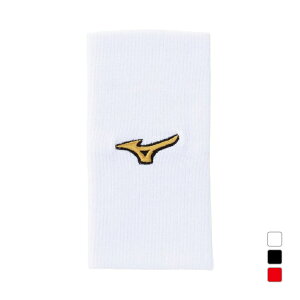 11/1聚Iōő100PobN ~Ym 싅 Xgoh y~YmvzXgohEXg[g^Cv(1) 12JYCY61 MIZUNO