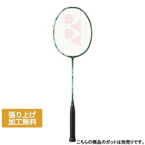 lbNX ASTROX100 AXgNX100 cA[ VA AX100TVA oh~g 胉Pbg : ubN×O[ YONEX