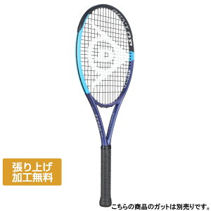 12/10聚Iōő100PobN _bv Ki 26FX 500 cA[ FX500TOUR DS22600 dejX 胉Pbg : u[×lCr[ DUNLOP