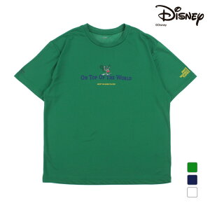 fBYj[ Y fBX ejX TVc ~bL[}EX TVc TRDN-2TW3025TS Disney