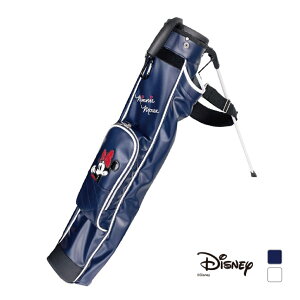 fBYj[ fB[X fB[XX^hNuP[X DN-0B2003STCC p^[|Pbgdl 0274301223 (0274301223) St EhNuP[X Disney