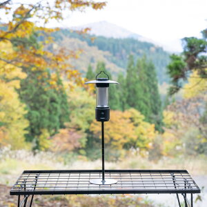 12/5聚Iōő100PobN AyAEghA[Y LEDVF[h^300 Lv LED^ Alpen Outdoors AOD