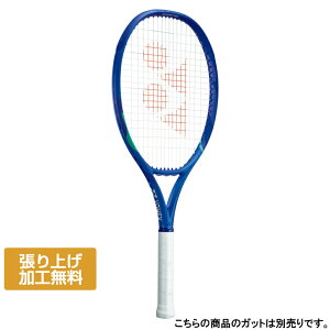 ���l�b�N�X �������K�i EZONE 115 E�]�[��115 08EZ115 �d���e�j�X �����胉�P�b�g : �u���[ YONEX