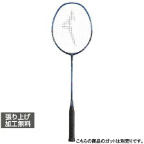 楽天市場】mizuno acroforce 100の通販