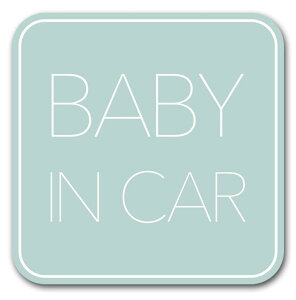 xr[CJ[ }Olbgy VvfUC zBaby in car ԂĂ܂ Baby On Board XebJ[ TC O[