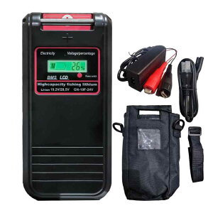 NSS 24V d[ obe[ GN-10F }[d Jo[Zbg 25.2V 10Ah pi\jbNZ d[pobe[