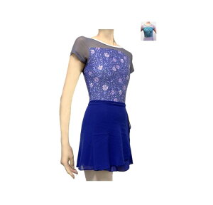 ProDance(v_X) u[ V[O[  n[tJbv  킢 oGI^[h PD001