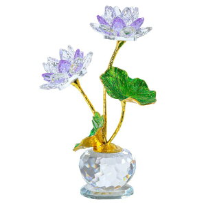 NX^ @̉Ԃ̒u KX y[p[EFCg