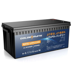 GOLDENMATE 12V LiFePO4 fB[vTCNobe[