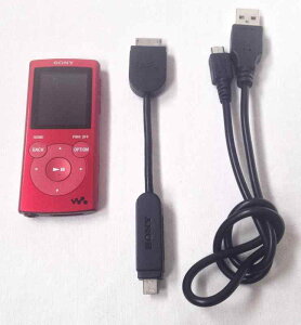 SONY �E�H�[�N�}�� E�V���[�Y �������[�^�C�v 2GB NW-E062