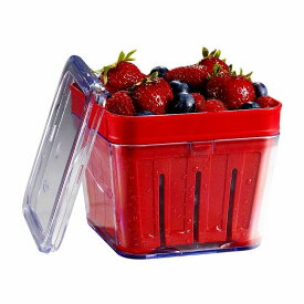 イチゴ ブルーベリー 果物 フルーツ ベリー バスケット 保存容器 コンテナ Chef'n Vibe Berry Basket