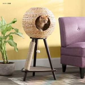 Lbgc[ 110cm Lbg^[ ܂Ƃ  lR L  Archie & Oscar Adriana 44" Sphere Scratch Post Cat Tree AOSC1008