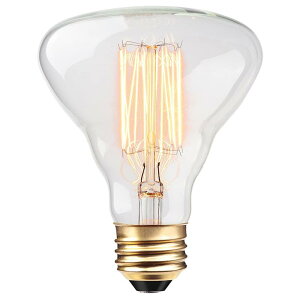 �f�U�C���d�� ���M�� ���{ �r���e�[�W 40W E26 Globe Electric 84654 Designer 40W Labo Vintage Bulb