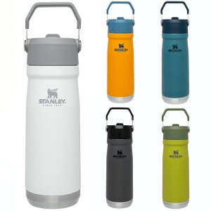 X^[ ACXt[ tbvXg[ EH[^[{g 650ml ۗ XeX @r THE ICEFLOW FLIP STRAW WATER BOTTLE | 22 OZ