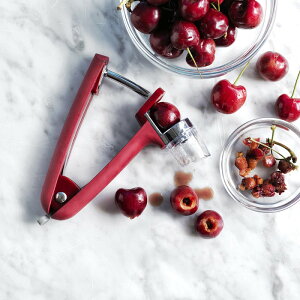�`�F���[���I���[�u�s�b�^�[ �����p OXO Cherry&Olive pitter