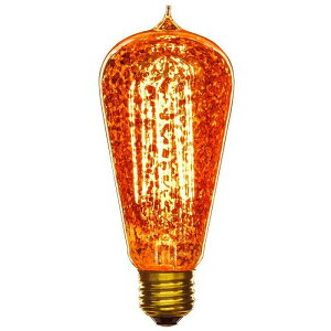 TCg 40bg AeB[N GW\ S19 d Sunlite 40S19/AQ/T/GF 40-watt Antique Edison S19, Medium Base, Golden Fleck