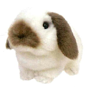 bvC[ ʂ u[N 816789 肭̂Ȃ܂