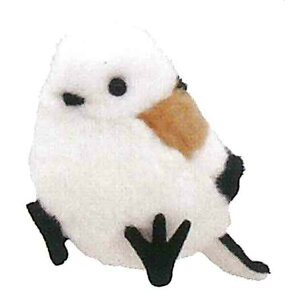 V}GiK ʂ 556647 肭̂Ȃ܂