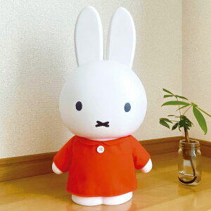 ~btB[ 傫΂MEGA m2Zbg(bh&ԕ) 112911 KTCY rbO tBMA 