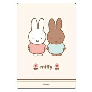 ~btB[ B5~ 189708 Vw miffy w