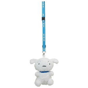 N񂿂 Xgbvtʂ݃|[` V 050674