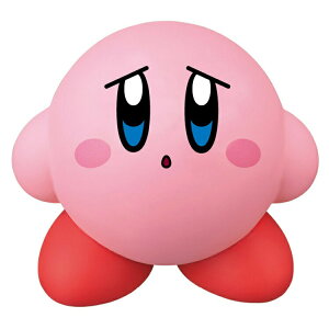 ̃J[rB \trRNV ڂ KIRBY CV Nintendo