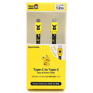 |PbgX^[ PD60WΉ USB2.0 Type-CP[u sJ`E 116051 |P POCKET MONSTERS CG[