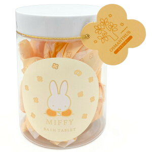 ~btB[ oX^ubg 244816 ؍҃Mtg miffy fBbNu[i LNZC