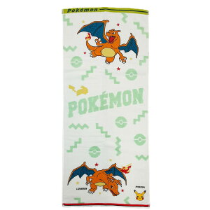 |PbgX^[ tFCX^I U[h 084549 pokemon |P