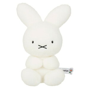 fBbNu[i ʂ CeA u RNV 70thiC`F