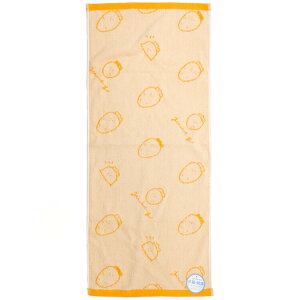 W[V[Ȃɂ񂶂 WK[htFCX^I 202405 IW RۖhL l[^Ot