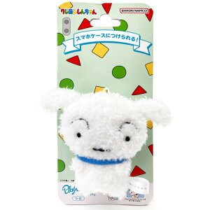 N񂿂 6994 PlayCharm V vC`[